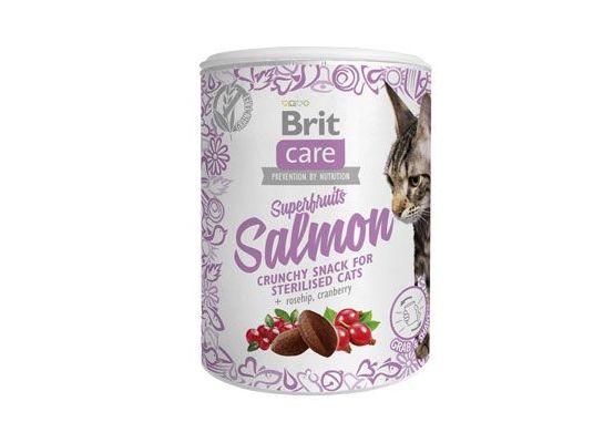 Brit Care Cat Snack Superfruits Salmon 100g