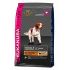 Eukanuba Dog Adult Small&Medium Lamb&Rice 12kg