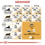 Royal Canin Maine Coon Adult granule pro mainské mývalí kočky 10 Kg