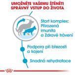 Royal Canin Maxi Starter Mother&Babydog granule pro březí nebo kojící feny a štěňata 15 Kg