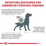 Royal Canin Veterinary Health Nutrition Dog Diabetic 12 Kg