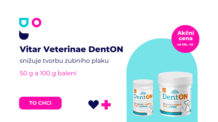 DentON pro redukci zubního plaku za akční cenu